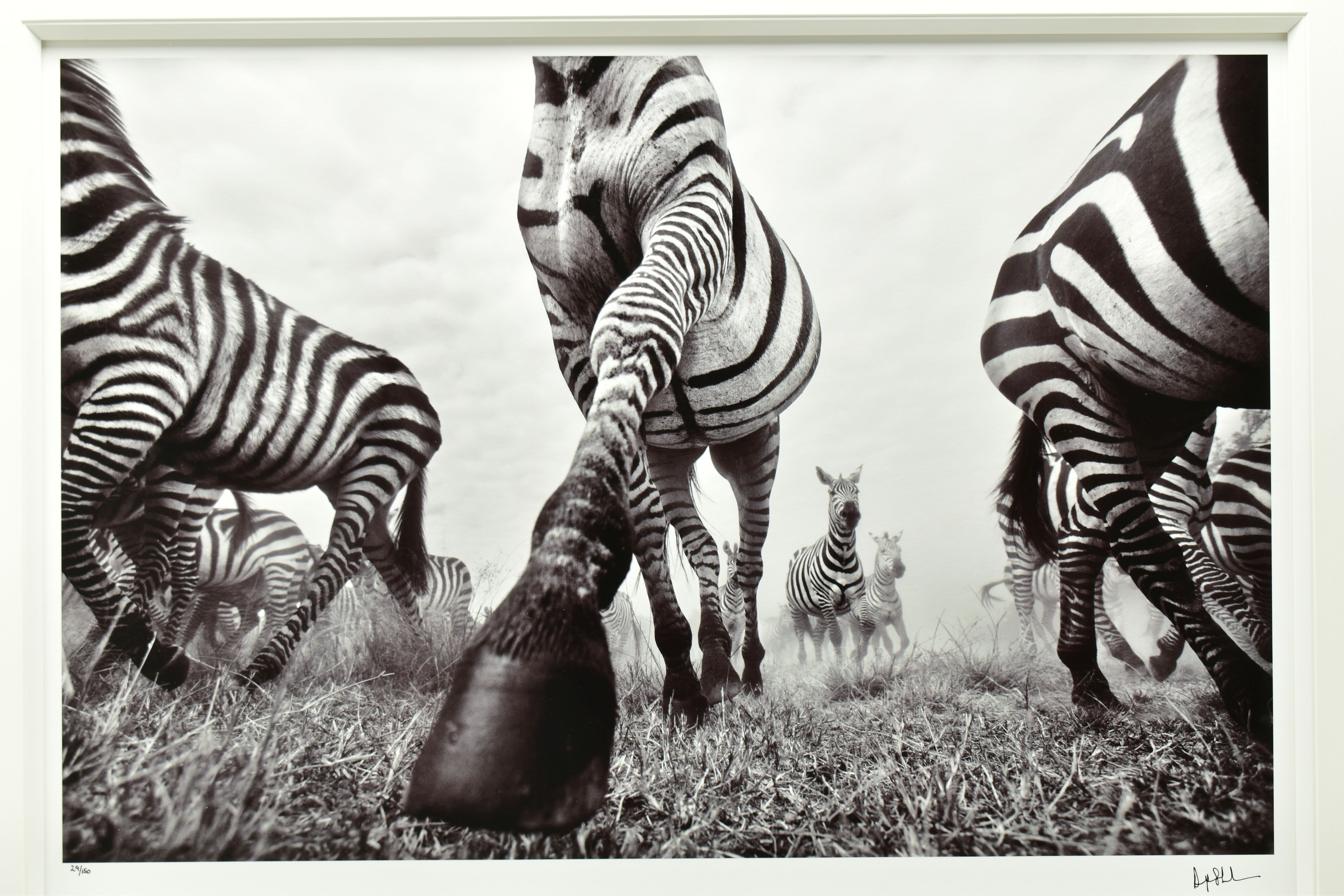 ANUP SHAH (KENYA CONTEMPORARY) 'ONWARD', a signed limited edition photographic print depicting a - Image 2 of 8