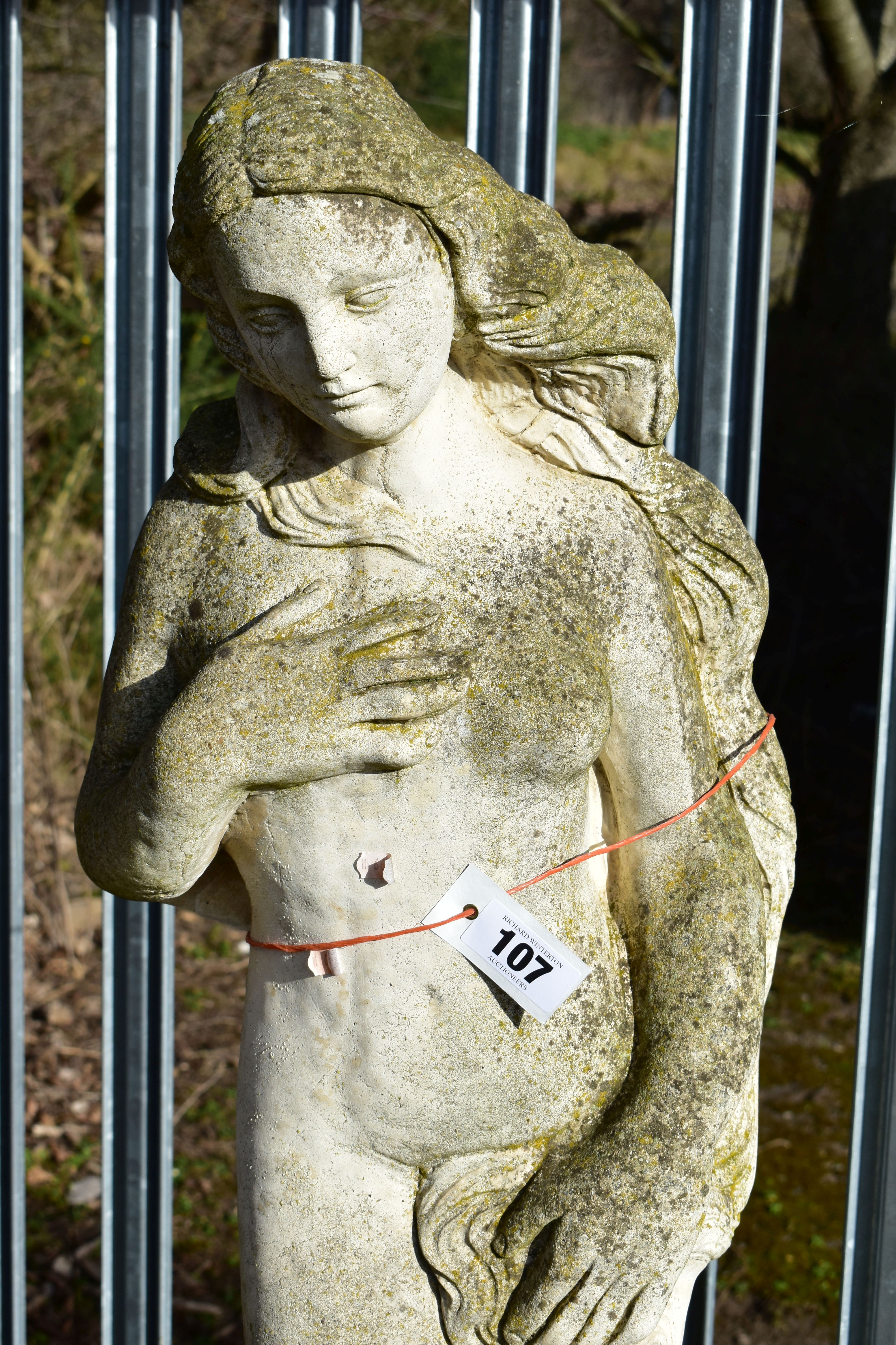 A WEATHERED COMPOSITE GARDEN FIGURE, of a nude lady standing on a shell, on a separate plinth, - Image 2 of 5