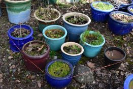 NINE VARIOUS GLAZED CIRCULAR PLANT POTS, of various sizes and colours, largest plant pot diameter,