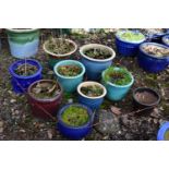 NINE VARIOUS GLAZED CIRCULAR PLANT POTS, of various sizes and colours, largest plant pot diameter,