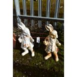 TWO MATCHING PAINTED CAST IRON PETER RABBIT GARDEN FIGURES, height 45cm