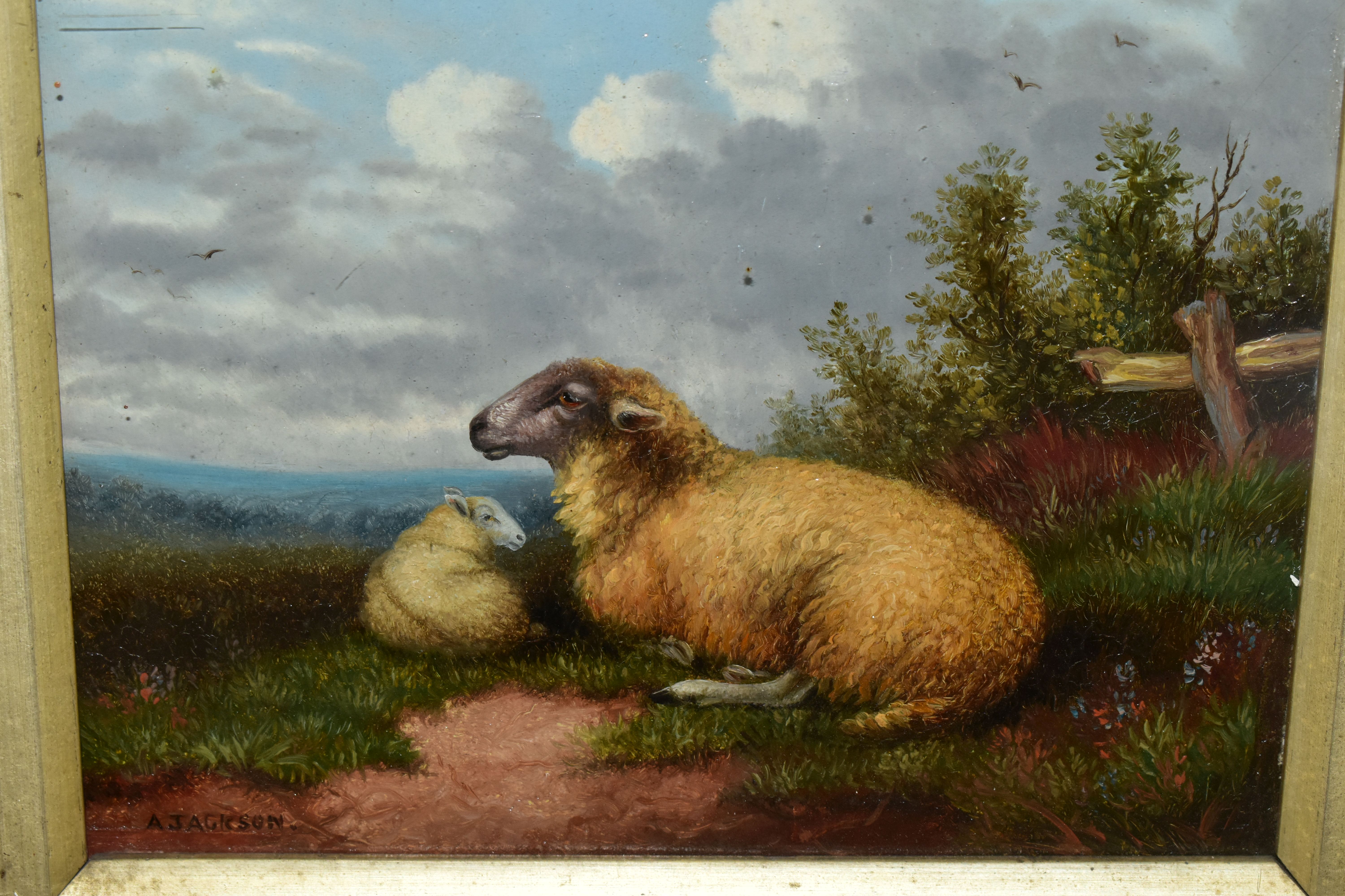 A. JACKSON (19TH/20TH CENTURY) ENGLISH SCHOOL PASTORAL SCENE, a ewe and her lamb resting in a - Image 3 of 4