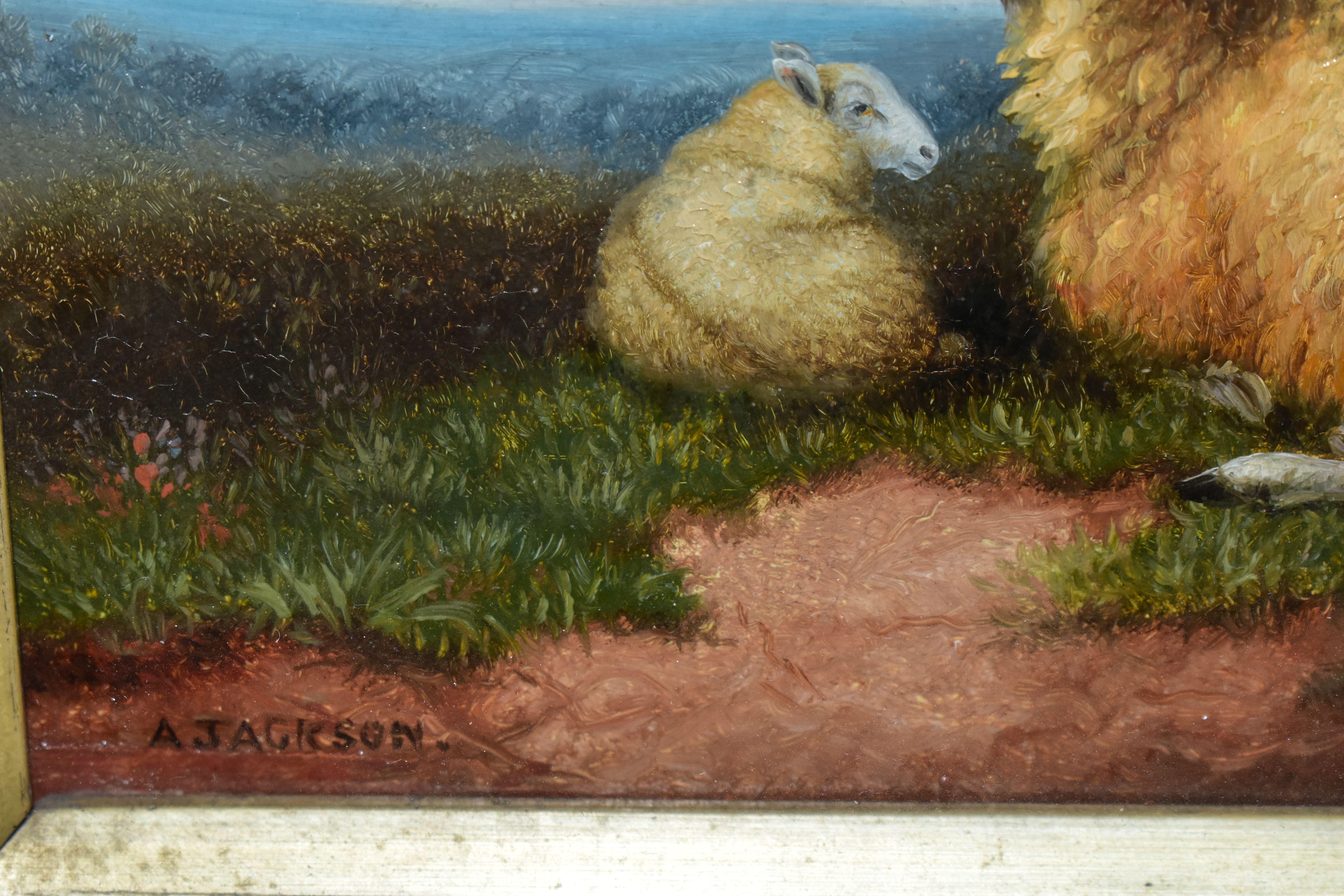 A. JACKSON (19TH/20TH CENTURY) ENGLISH SCHOOL PASTORAL SCENE, a ewe and her lamb resting in a - Image 4 of 4