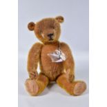 AN AMERICAN ORANGE BRISTLE MOHAIR TEDDY BEAR, c.1914 - 1920, replacement glass eyes, horizontal