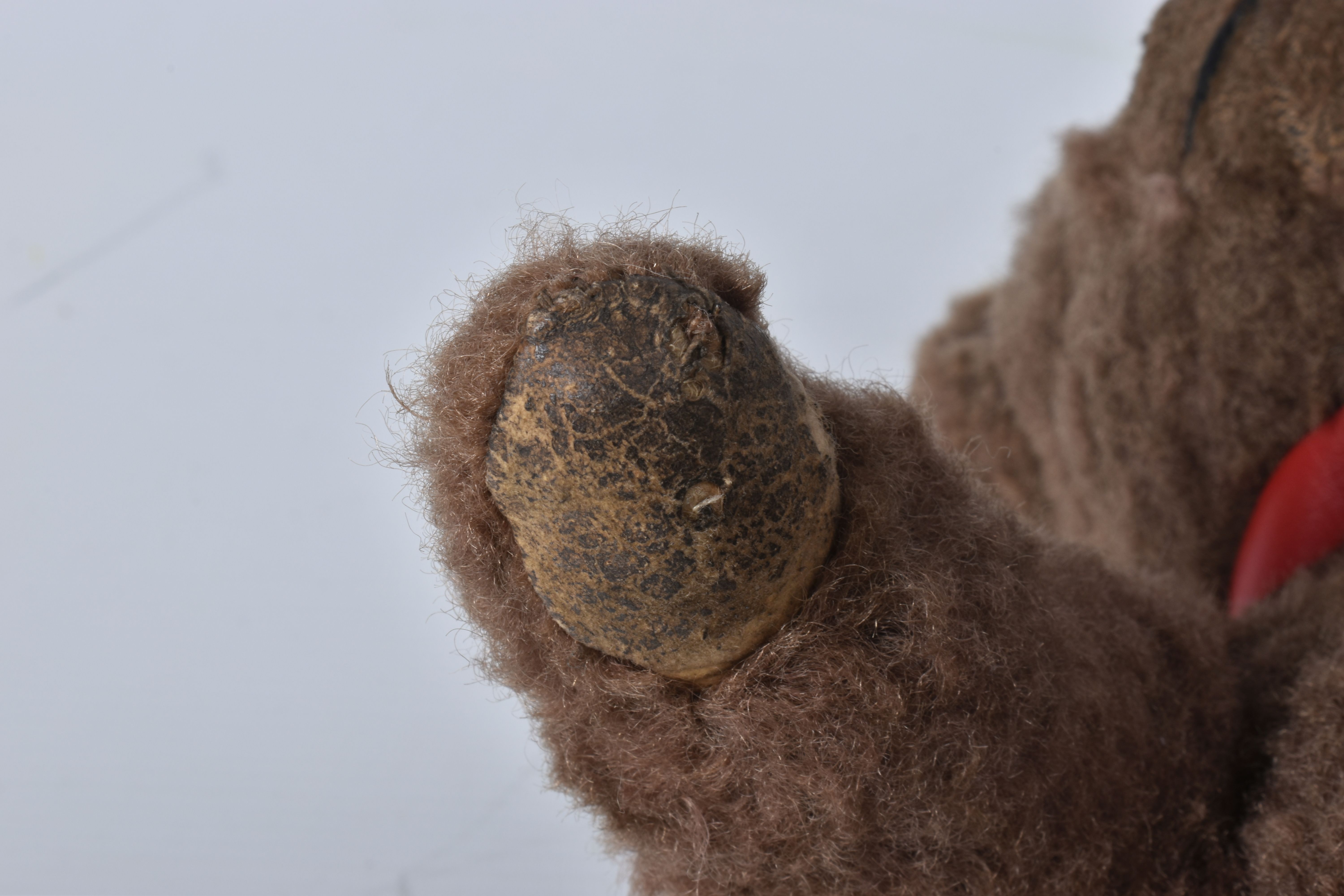 A BROWN WOOL TEDDY BEAR, c. 1950's possibly British or Australian, amber and black glass eyes, - Image 15 of 22