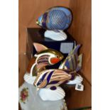 FOUR ROYAL CROWN DERBY TROPICAL FISH PAPERWEIGHTS, comprising a boxed Chevroned Butterfly Fish, with