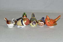 A COLLECTION OF FIVE ROYAL CROWN DERBY BIRD PAPERWEIGHTS, comprising a 'Carolina Duck' gold stopper,
