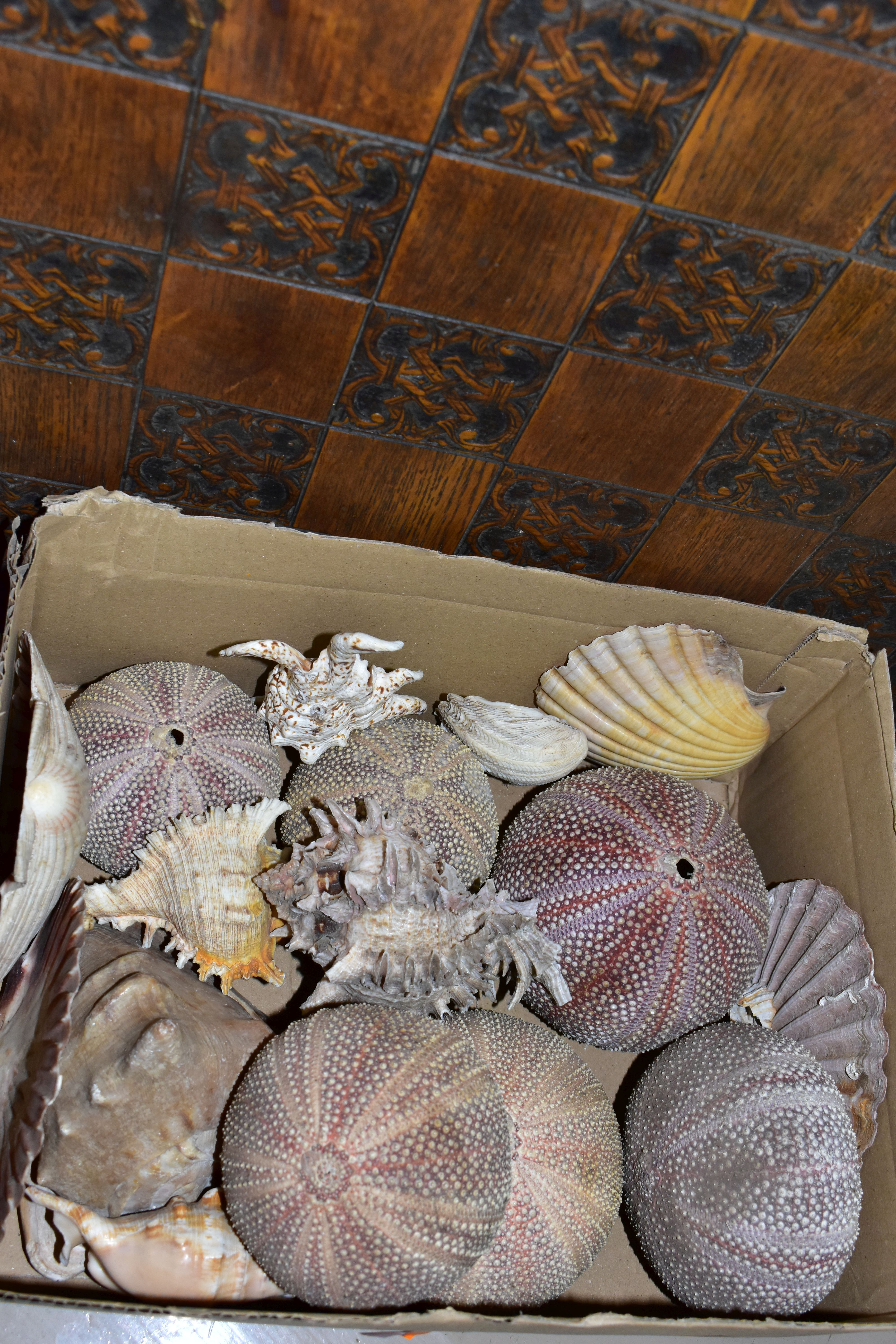 THREE BOXES OF VINTAGE FISHING REELS, SEA SHELL, CHESS SET AND SUNDRIES, to include a Bakelite - Image 12 of 14