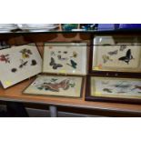 FIVE CHINESE 19TH CENTURY PAINTINGS ON RICE PAPER, subjects include butterflies, moths, beetles