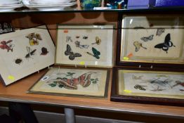 FIVE CHINESE 19TH CENTURY PAINTINGS ON RICE PAPER, subjects include butterflies, moths, beetles