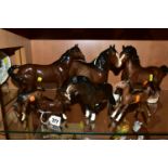 A COLLECTION OF BESWICK SHIRE HORSES, comprising Shetland Pony (woolly Shetland Mare)1033 and