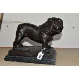 A FRENCH BRONZE BULLDOG, after P. J. Mené, supported on a black and white marble base, width 22cm