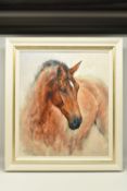 GARY BENFIELD (BRITISH 1965), 'Patience', a Limited Edition print of a Horse, 48/195, signed
