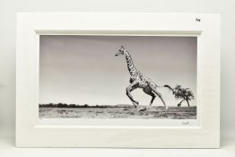 ANUP SHAH (KENYA CONTEMPORARY) 'DANCE', a signed limited edition photographic print on paper