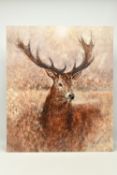GARY BENFIELD (BRITISH CONTEMPORARY) 'NOBLE' a signed limited edition print of a stag, 20/195,