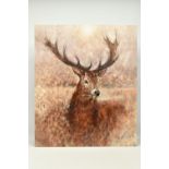 GARY BENFIELD (BRITISH CONTEMPORARY) 'NOBLE' a signed limited edition print of a stag, 20/195,