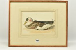EDWARD THOMPSON DAVIS (1833-1867) 'DEAD MALLARD', a study of a duck with bloodied feathers to its