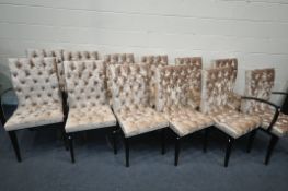 A SET OF TWELVE MAB PURE DESIGN BUTTONED GOLD VELVET DINING CHAIRS, with a glossy ebonised legs