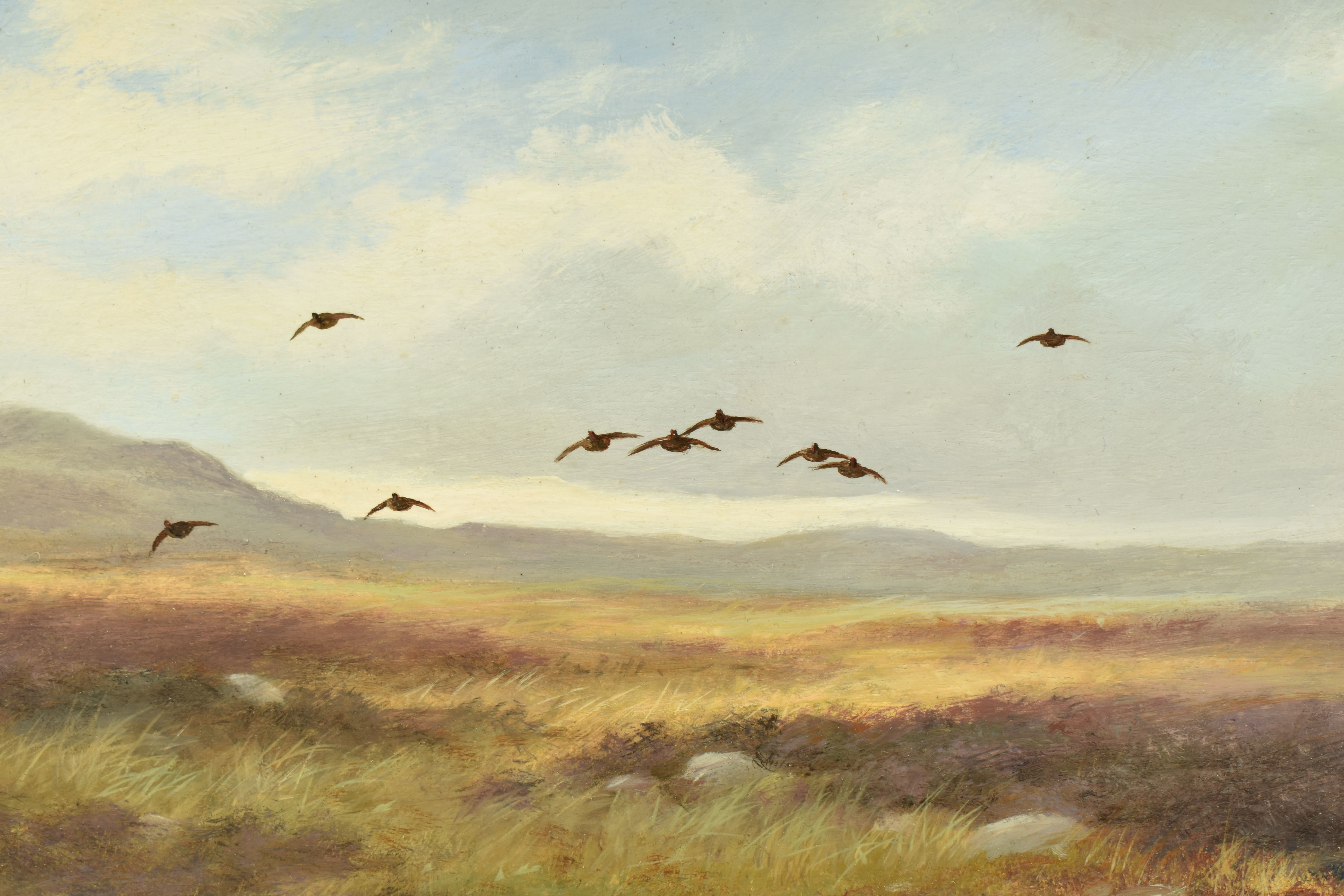 COLIN W. BURNS (BRITISH 1944-) 'HEAD ON - RED GROUSE', an open landscape with flying Grouse, - Image 3 of 9