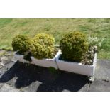 THREE VINTAGE ENAMEL SINKS with soil and planting width 63cm depth 47cm height 27cm ( this lot is