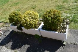 THREE VINTAGE ENAMEL SINKS with soil and planting width 63cm depth 47cm height 27cm ( this lot is