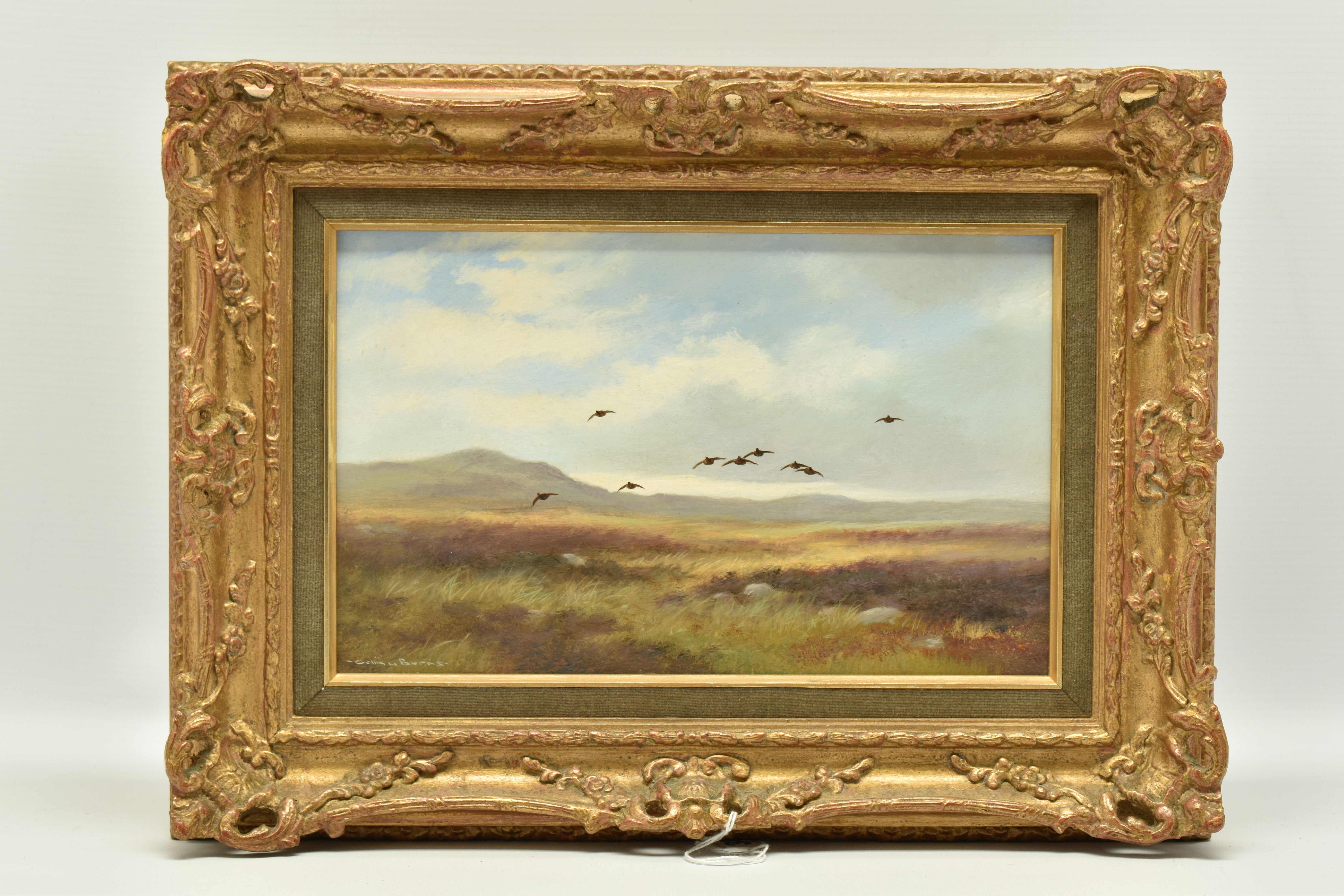 COLIN W. BURNS (BRITISH 1944-) 'HEAD ON - RED GROUSE', an open landscape with flying Grouse,