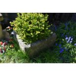 A VINTAGE SANDSTONE TROUGH with soil and planting width 58cm depth 46cm height 28cm ( this lot is