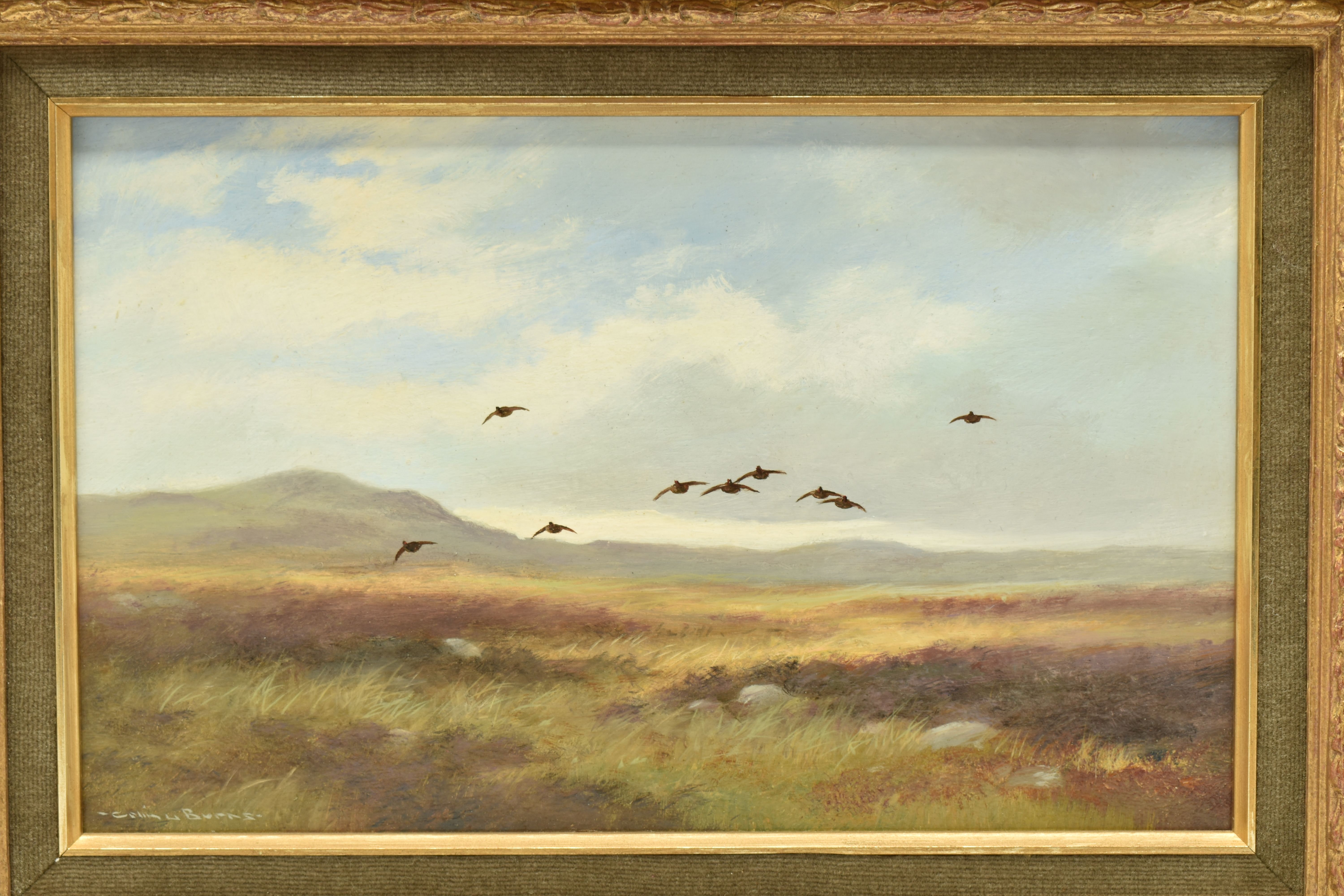 COLIN W. BURNS (BRITISH 1944-) 'HEAD ON - RED GROUSE', an open landscape with flying Grouse, - Image 2 of 9