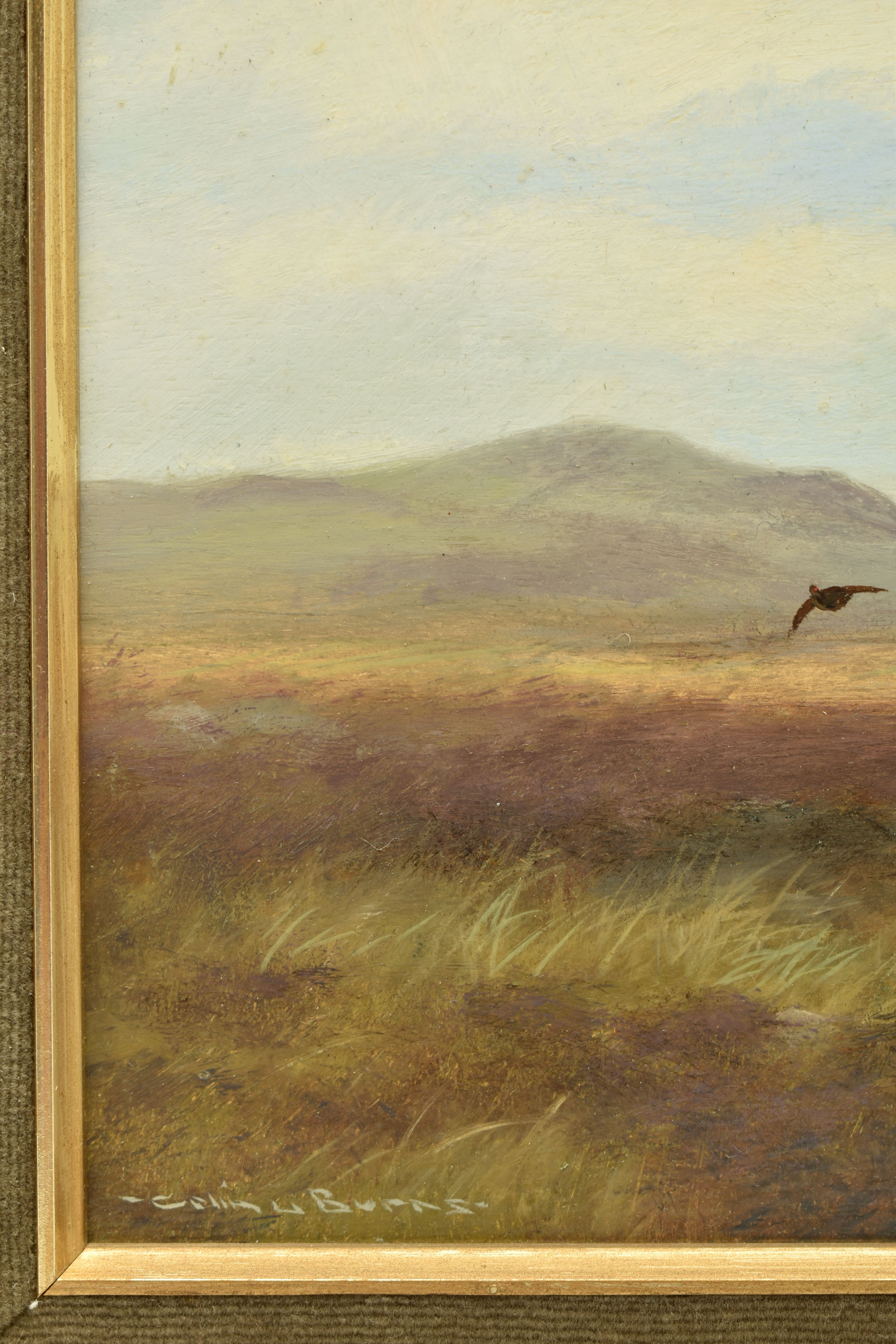 COLIN W. BURNS (BRITISH 1944-) 'HEAD ON - RED GROUSE', an open landscape with flying Grouse, - Image 4 of 9