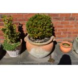 FIVE TERRACOTTA COLOURED PLANT POTS including a pair of large urns 60cm wide, a pair of similar