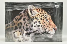 DARRYN EGGLETON (SOUTH AFRICA 1981) 'THE WILD SIDE I', a signed limited edition box canvas print