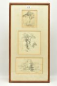 CIRCLE OF SAMUEL PROUT (1783-1852) THREE STUDIES OF TREES, unsigned pencil sketches, largest
