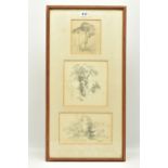 CIRCLE OF SAMUEL PROUT (1783-1852) THREE STUDIES OF TREES, unsigned pencil sketches, largest