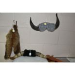 TWO SETS OF MOUNTED HIGHLAND COW HORNS, together with two taxidermy fox tails (4) (Condition report: