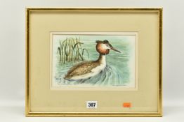 RALPH WATERHOUSE (1943-) 'GREAT CRESTED GREBE', a study of a bird on the water, signed bottom