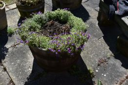 A VINTAGE OAK HALF BARREL PLANTER with iron banding strips diameter 65cm with soil and planting(