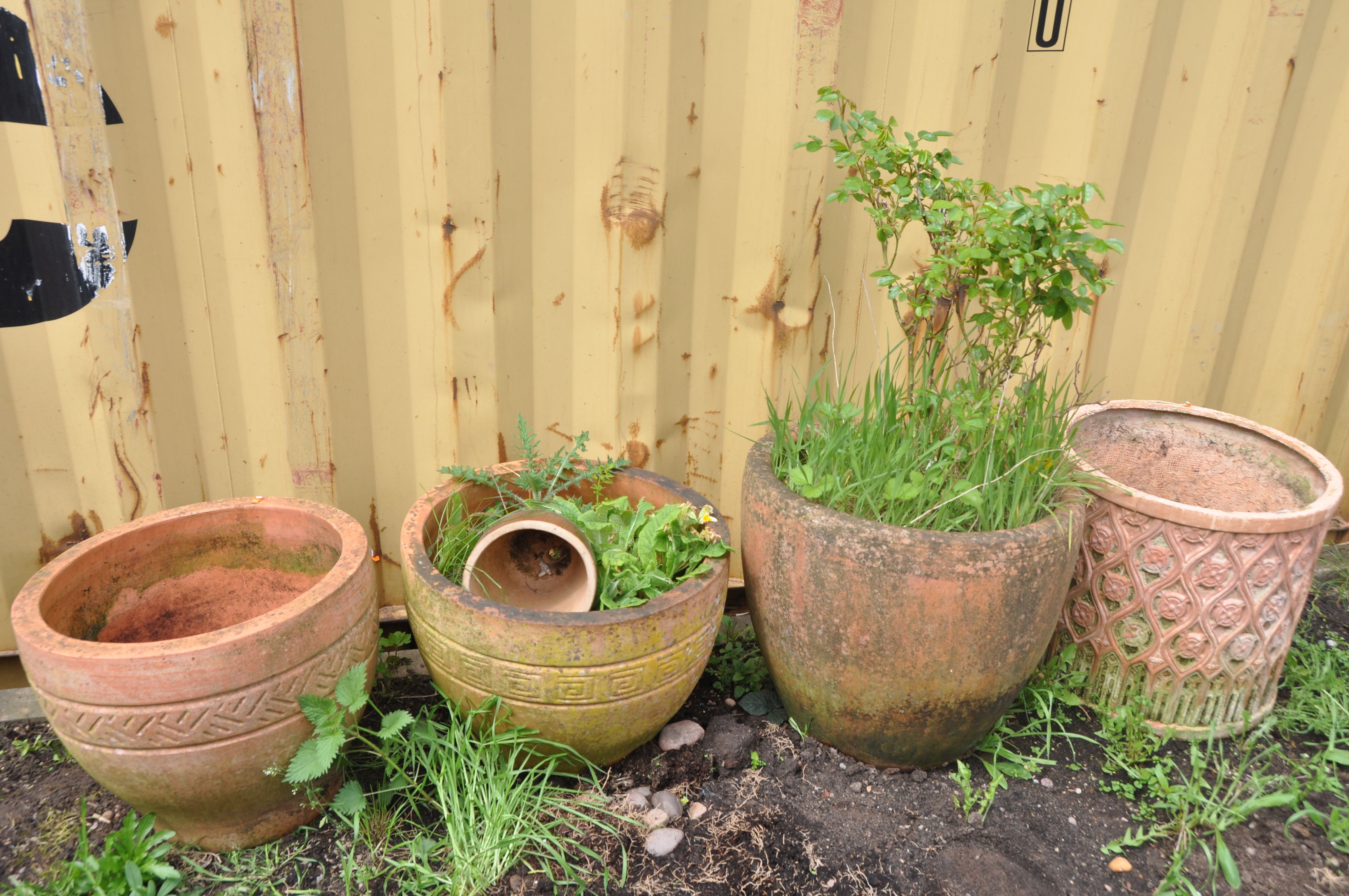 A SELECTION OF WEATHERED TERRACOTTA POTS comprising three circular terracotta pots and a smaller