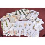 MAINLY GB COLLECTION OF STAMPS WITH INTEREST IN 1960s FDCs. odd presentation pack also seen