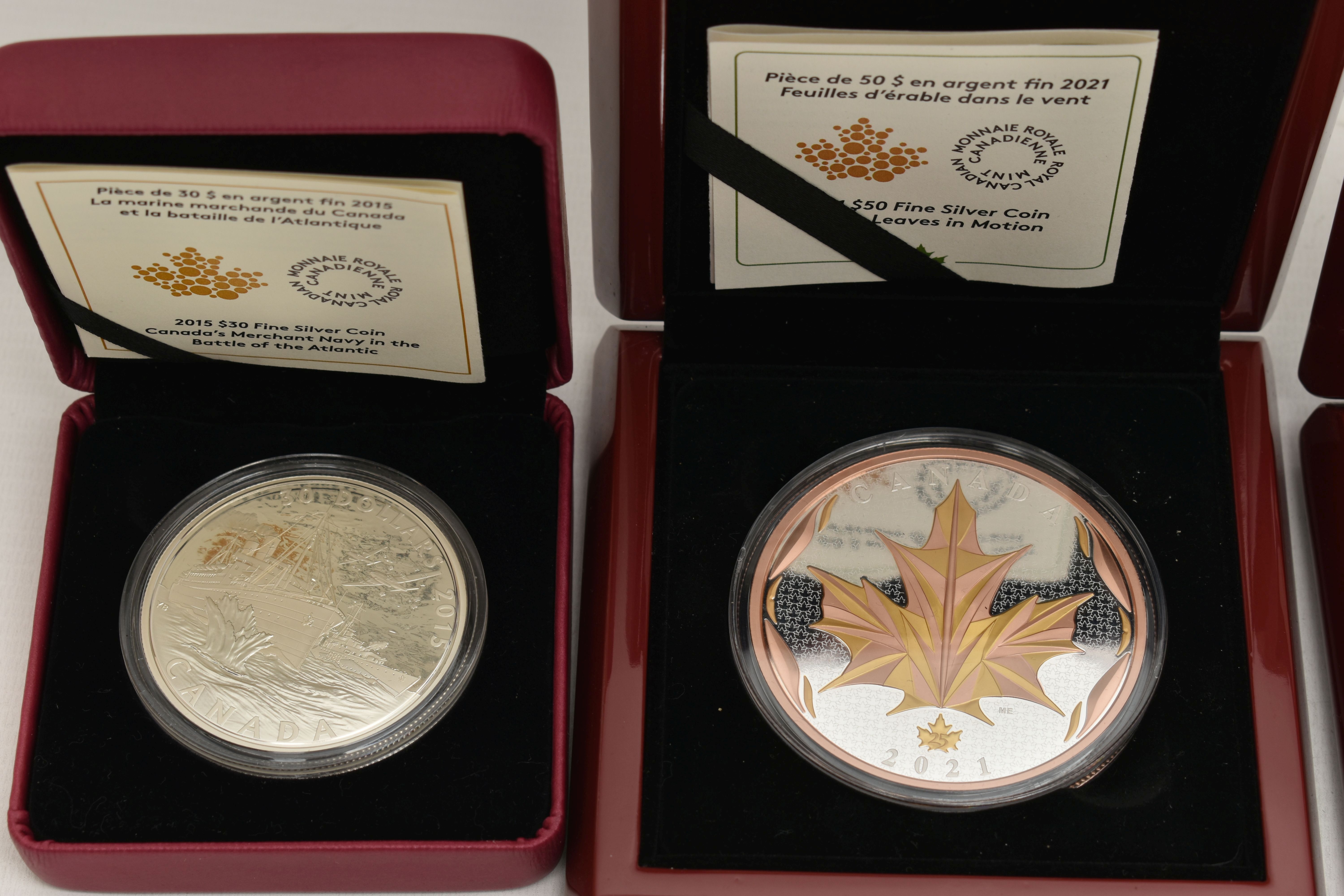 A DISPLAY OF SILVER AND SILVER PROOF COINS, to include Royal Canadian Mints 2013 Proof like 5 - Image 5 of 6