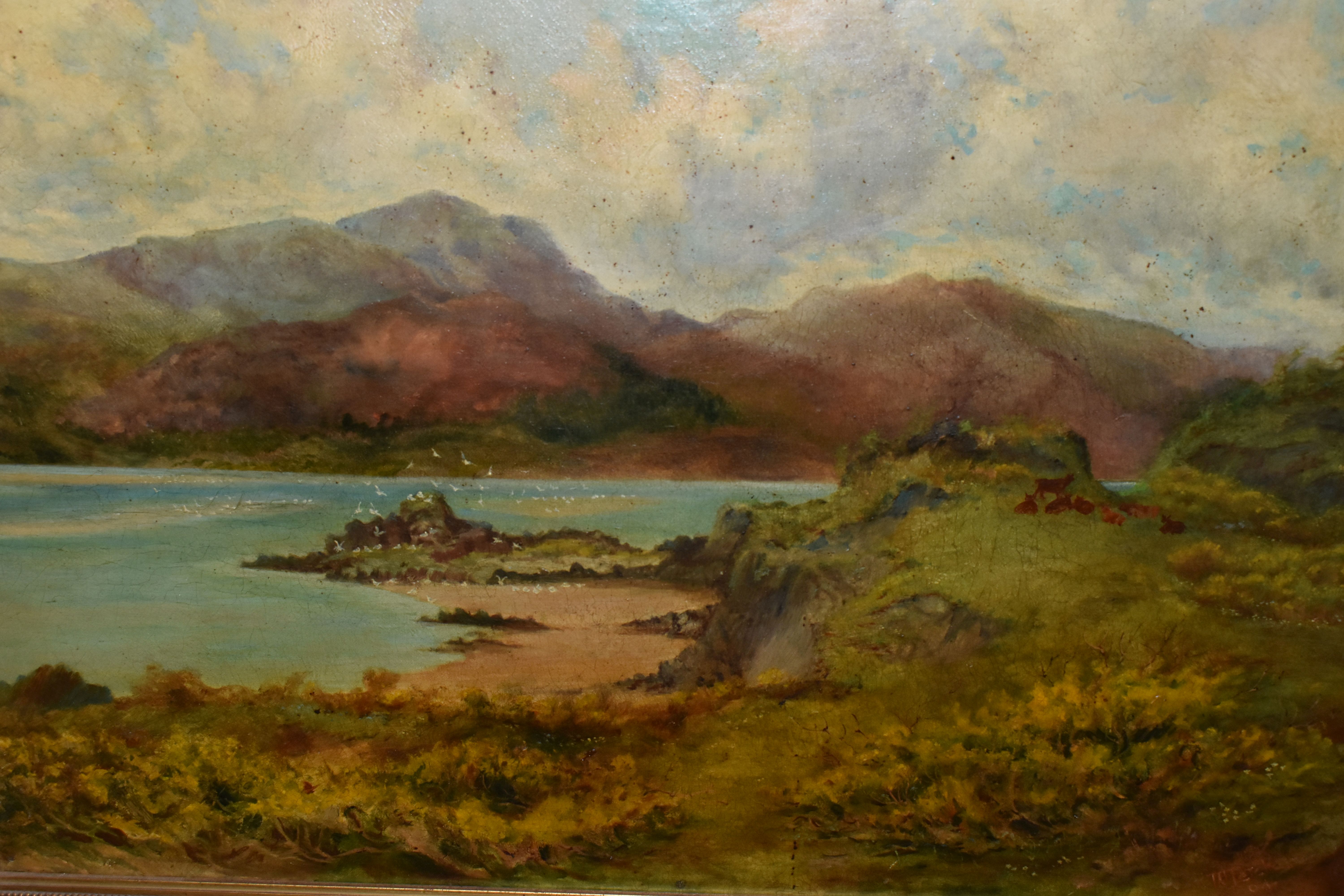 OIL PAINTINGS, PRINT AND MAP, comprising W. Petch water landscape with grazing cattle and birds, - Image 2 of 5