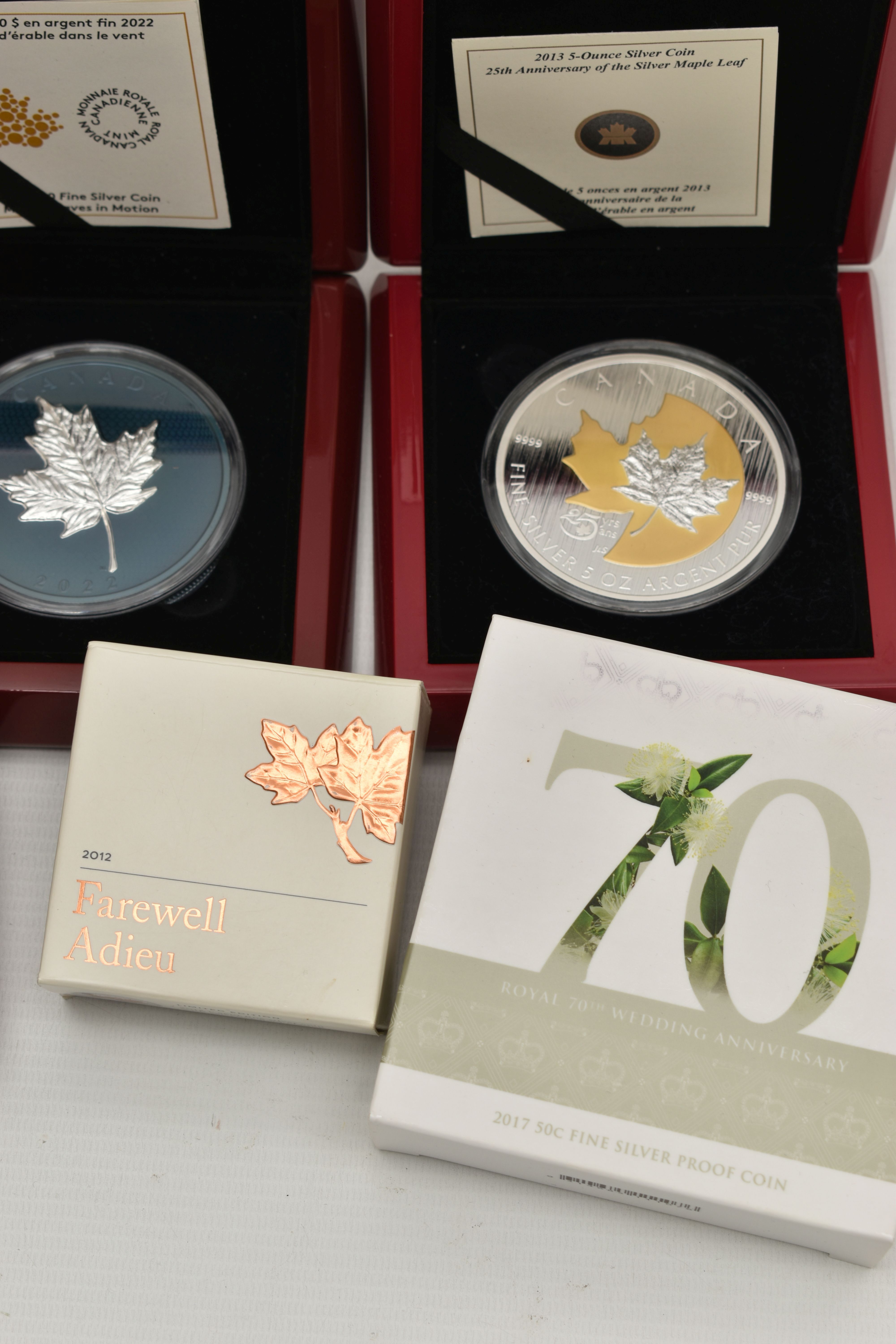 A DISPLAY OF SILVER AND SILVER PROOF COINS, to include Royal Canadian Mints 2013 Proof like 5 - Image 2 of 6