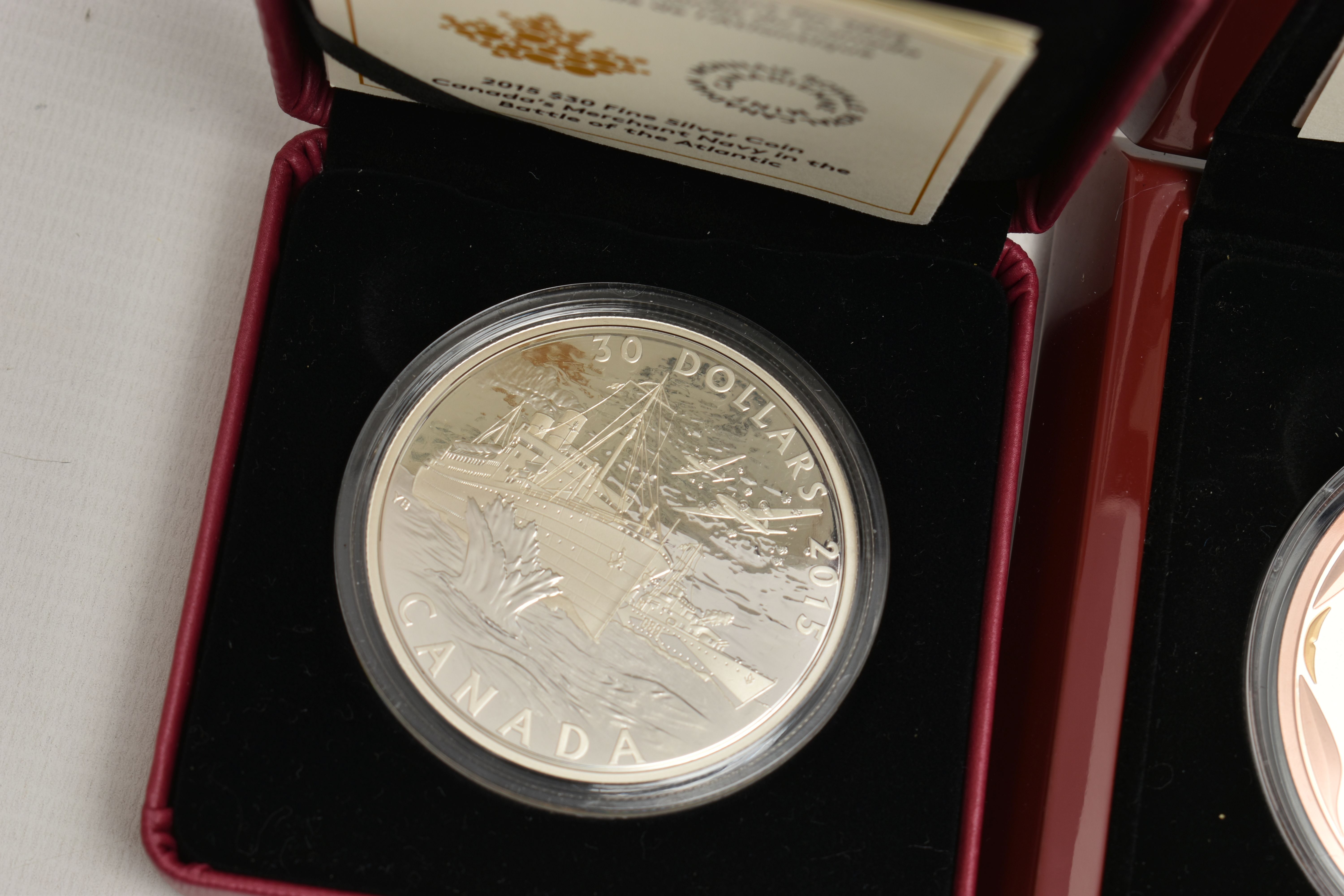 A DISPLAY OF SILVER AND SILVER PROOF COINS, to include Royal Canadian Mints 2013 Proof like 5 - Image 6 of 6