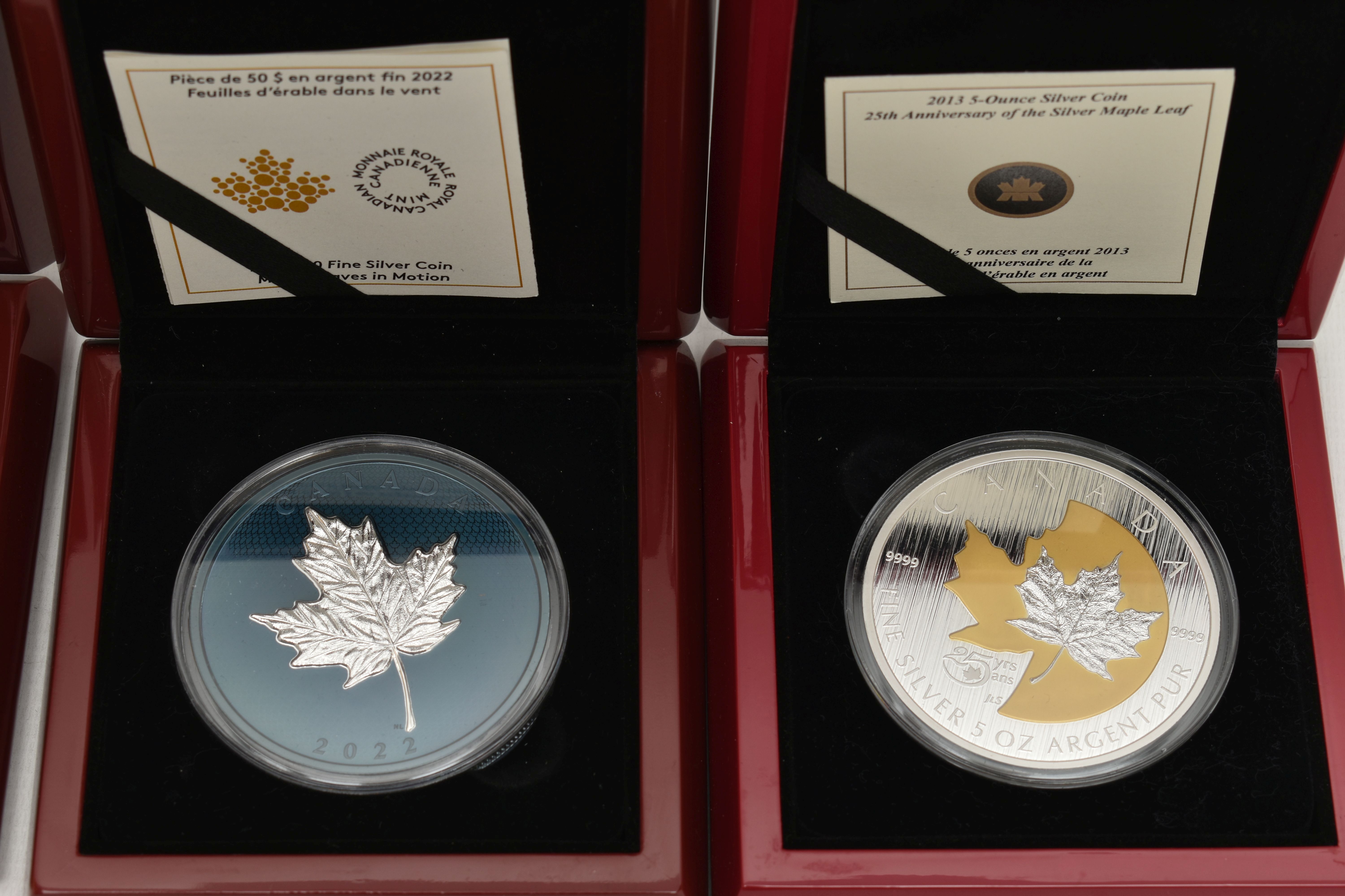 A DISPLAY OF SILVER AND SILVER PROOF COINS, to include Royal Canadian Mints 2013 Proof like 5 - Image 4 of 6