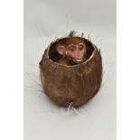 A LATE 19TH / EARLY 20TH CENTURY AUTOMATON OF A MONKEY IN A COCONUT, possibly by Roullet et Decamps,