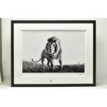 ANUP SHAH (KENYA CONTEMPORARY) 'HUNTER', a signed limited edition photographic print of a lion, 30/