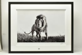 ANUP SHAH (KENYA CONTEMPORARY) 'HUNTER', a signed limited edition photographic print of a lion, 30/