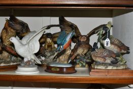 TWELVE BIRD AND ANIMAL SCULPTURES, to include geese, pheasants, budgies, owls, birds of prey and
