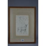 CIRCLE OF ROBERT HILLS (1769-1844) FOUR STUDIES OF DEER, unsigned, pencil on paper, approximate size