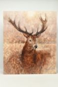 GARY BENFIELD (BRITISH CONTEMPORARY) 'NOBLE' a signed limited edition print of a stag, 21/195,
