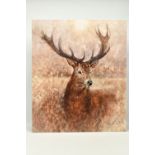 GARY BENFIELD (BRITISH CONTEMPORARY) 'NOBLE' a signed limited edition print of a stag, 21/195,